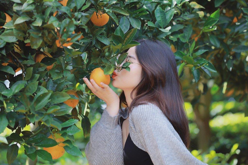 Xuồng ba lá trên sông miệt vườn