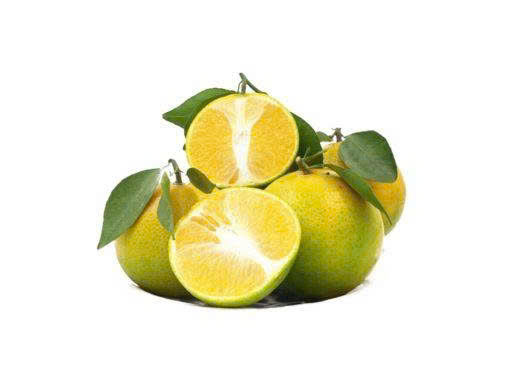 Cam xoàn