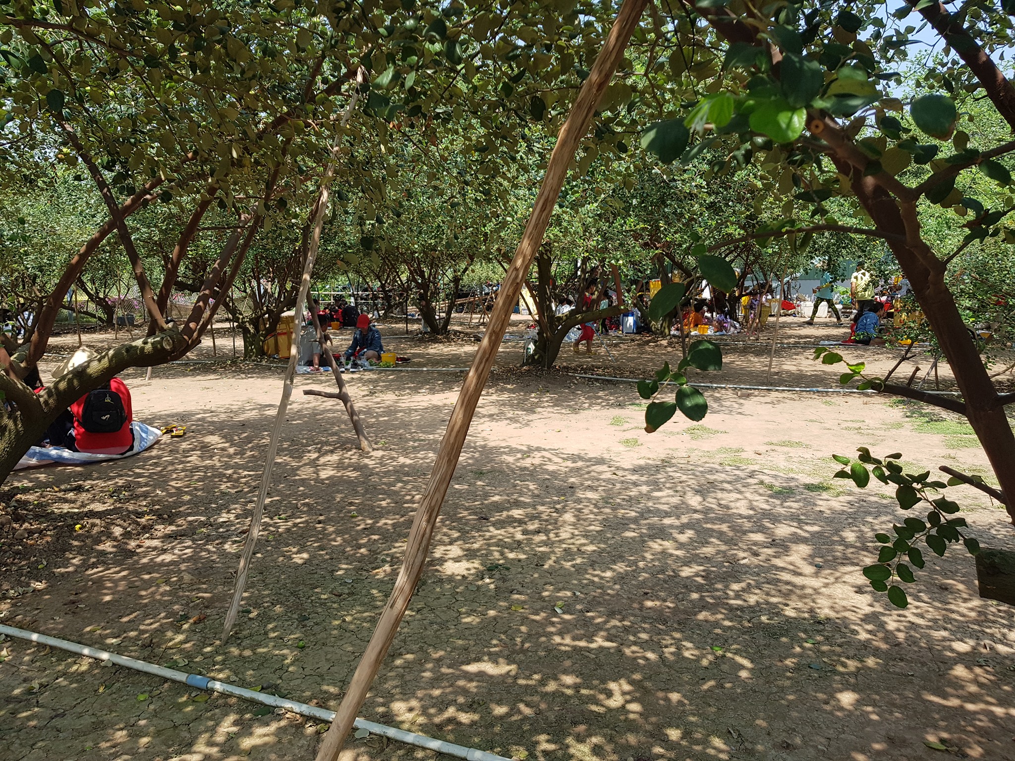 Gallery 1