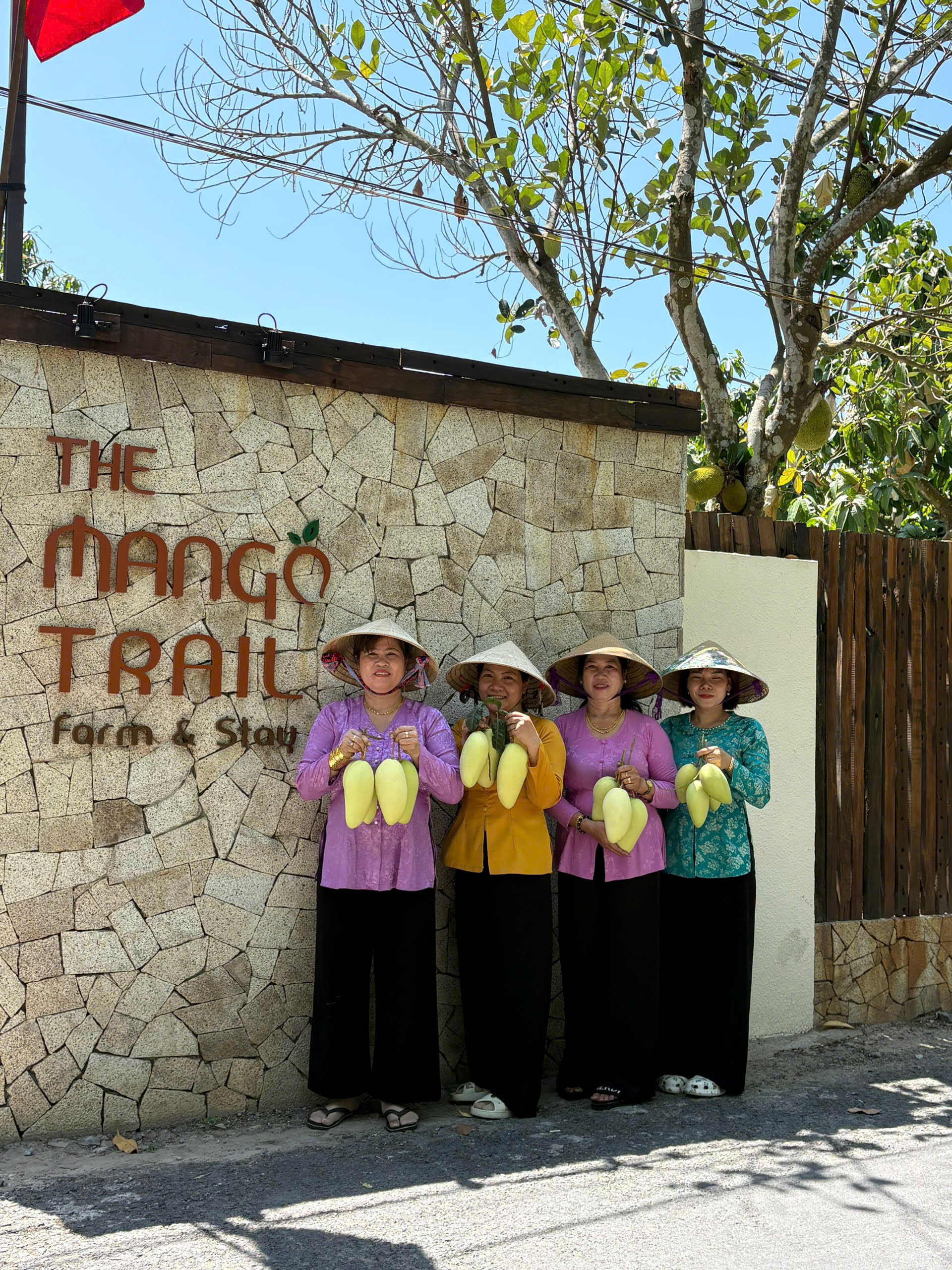 Điểm tham quan du lịch, nghỉ dưỡng Vườn Xoài (The Mango Trail Farmstay)