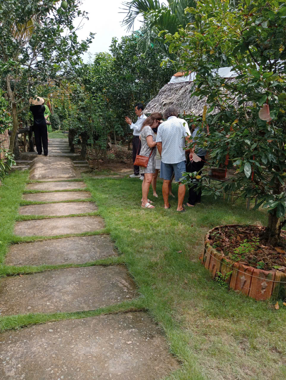 Hai Phương Pomelo