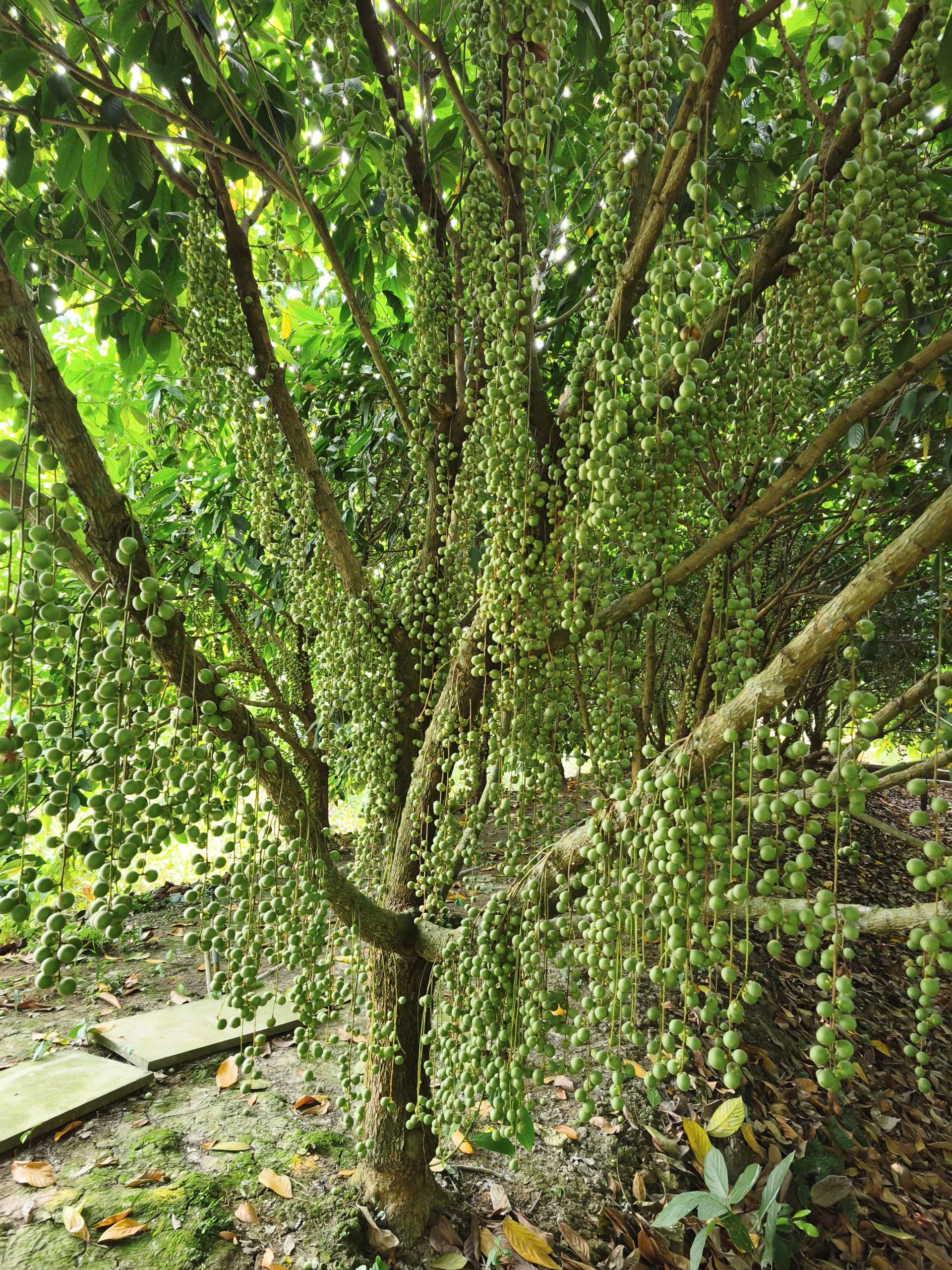 Gallery 28