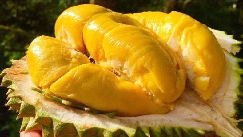 Nông sản Đồng Tháp vươn tầm quốc tế thông qua các gian hàng thực tế ảo