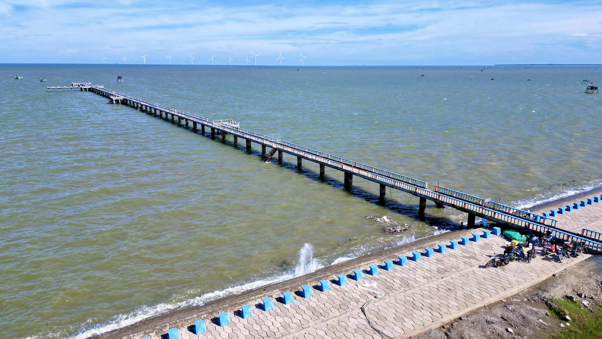 Biển Tân Thành - Gò Công - Trải nghiệm cào nghêu - Vườn táo