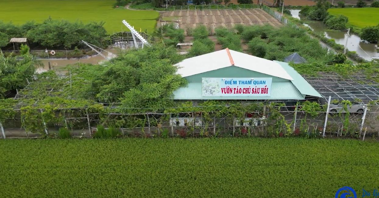 Ảnh minh họa